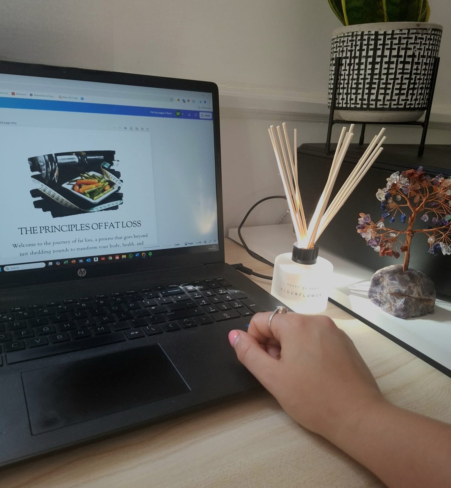 Person using a laptop on a desk with a plant and decorative items in the background